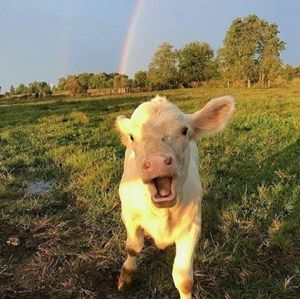 Meet your Posher, Autumn